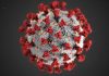 Corona Virus Clinical Perspectives – Dr. Lori Richardson