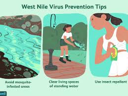 West Nile Virus: Overview and More