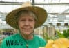 Wilda’s Wisdom