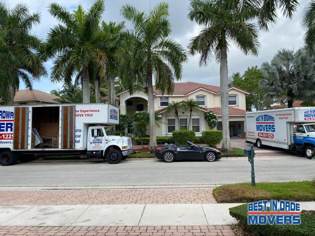  Best In Dade Movers