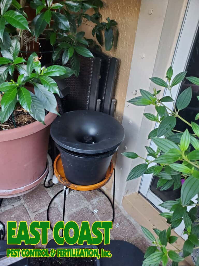 Pest Control Services Can Improve Your Health And Ecosystem by 98%
