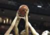 Kats have hold on 2nd with win over Alvarado