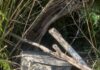 A Broken Well